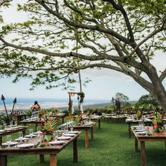 an outdoor dining area with tables and chairs set up for dinner on the grass, surrounded by trees