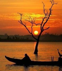 two people in a small boat on the water at sunset with a tree growing out of it