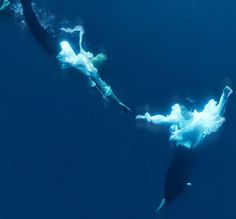 two people are swimming in the water with their arms around each other and holding hands