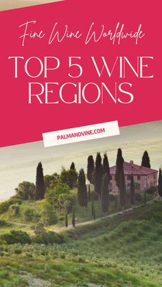 the top 5 wine regions in italy with text overlay that reads fine wine guide