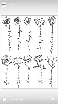 flowers drawn on paper with the words flower drawings in black and white, as well as an