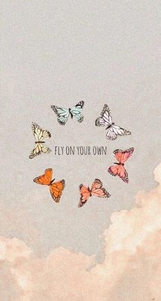 there are many butterflies flying in the sky with an inscription above them that says fly on your own