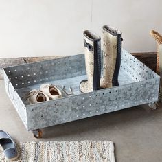 two pairs of shoes are sitting in a metal tray on the floor next to a rug