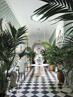 a checkered floor with potted plants and chairs