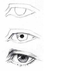 three different types of eyes are shown in this drawing