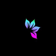 a colorful butterfly logo on a black background