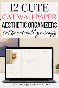 a laptop with the text 12 cute cat wallpaper aesthetic organizers