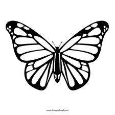 a black and white drawing of a butterfly