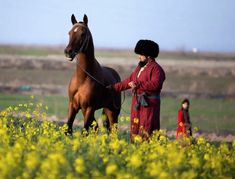 a woman standing next to a brown horse in a field