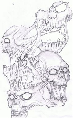 three skulls with different types of heads