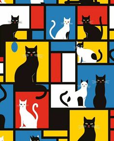 several cats are sitting on squares in different colors