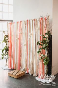 a room with curtains and plants in it