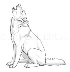 a black and white drawing of a wolf sitting on the ground looking up at the sky