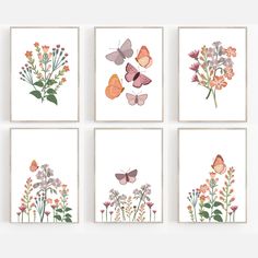 four framed paintings of flowers and butterflies on white paper, each with an orange butterfly in the center