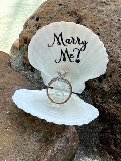 a shell with a ring on it sitting on some rocks