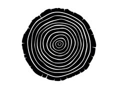 a black and white image of a tree stump with the center cut out to look like a spiral