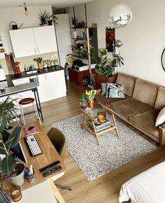 a living room filled with furniture and lots of plants