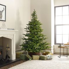 a small christmas tree sitting in front of a fireplace