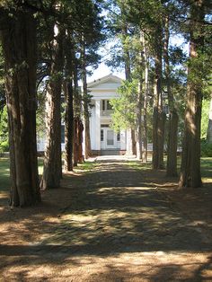 a white house surrounded by trees and grass