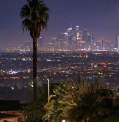 the city skyline is lit up at night, with palm trees and buildings in the foreground