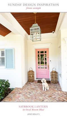 a dog is standing in front of a pink door with the words, saturday design inspiration from