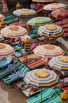 many beach chairs and umbrellas are lined up on the beach