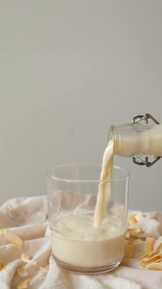 Coconut Hemp Milkthe non-dairy milk you didn't know you neededThis ultra-creamyhomemade milk is SO easyand pairs perfectly with granolamatcha lattesand BEYOND Vegan Minimalist, Make Coconut Milk, Almond Milk Recipes, Milk Tea Recipes