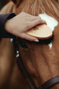 a close up of a person's hand on a horse with a piece of wood