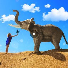 an elephant and a woman are in the desert