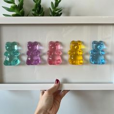 a person is holding up a frame with gummy bears on it