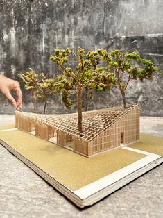 a model of a house with trees growing out of it