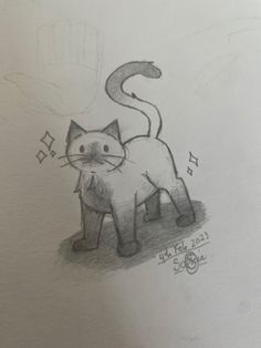 a pencil drawing of a cat with music notes on it's tail and eyes