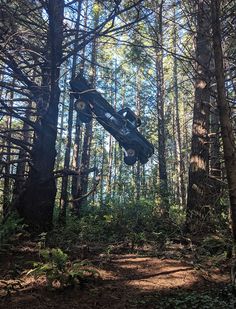 a car that is in the air over some trees