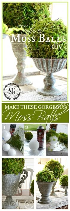 moss ball planter is shown with instructions to make it look like they are growing out of