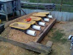 a dog standing in front of a pile of sand with four yellow and white bowls on it