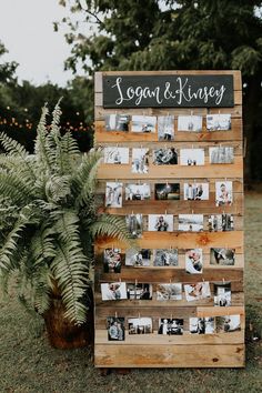 a wooden sign with photos hanging on it next to a potted plant and tree