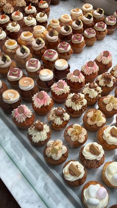 there are many cupcakes that are on the display case and ready to be eaten