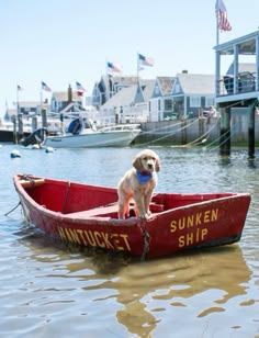 a dog is sitting in a red boat on the water next to houses and boats