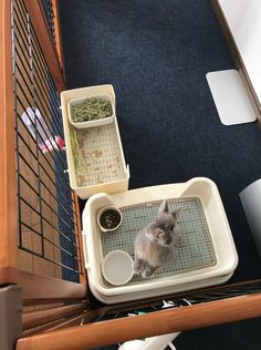 a cat sitting on top of a litter box next to a bowl and food dish