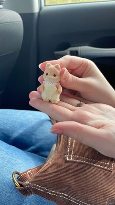 a person holding a small toy animal in their hand while sitting in the back seat of a car