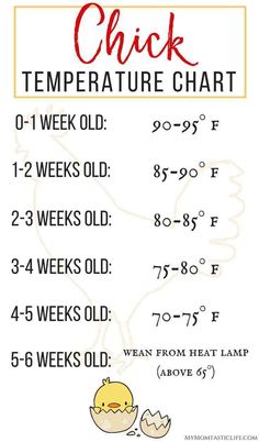 a printable temperature chart for the baby's body and it's numbers