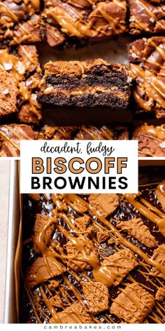 chocolate fudgey biscoff brownies with caramel drizzle on top