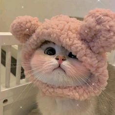 a cat wearing a pink hat with ears