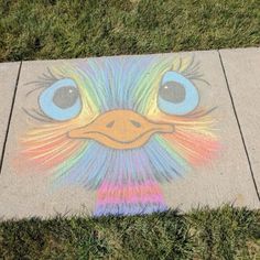 a sidewalk with a drawing of an ostrich's face on it and grass in the foreground