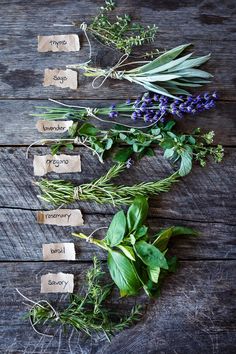 herbs laid out on a wooden table with tags attached to them and labeled with names