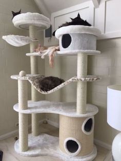 a cat tree that is in the corner of a room with several cats on it