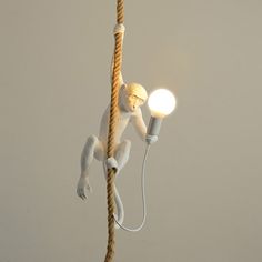 a monkey is hanging from a rope with a light