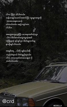 an old car parked in front of a forest with trees and text on the back