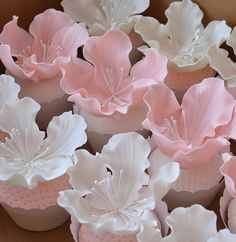 several pink and white flowers are placed in a cupcake liners on a table