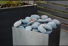 some rocks in a metal container on the ground